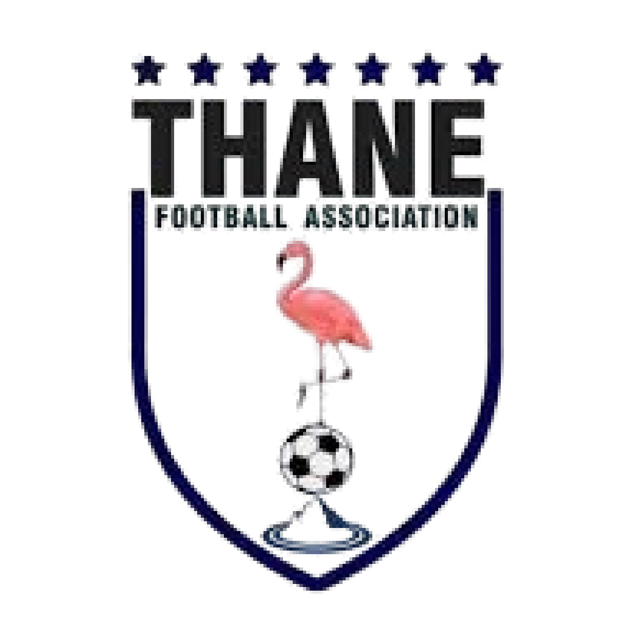 Thane Football Association